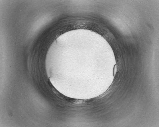 X0000115050140200912071138