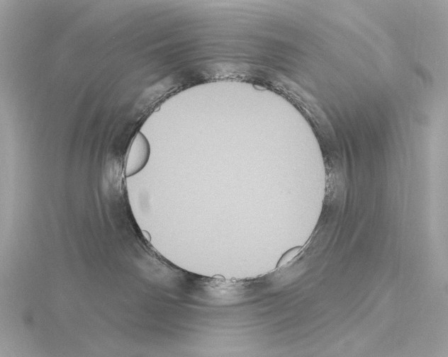 X0000115050142200912071138