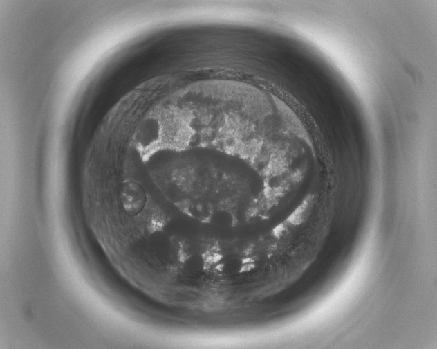 X0000115050143200912071138