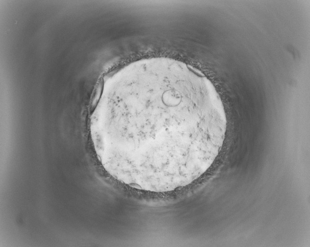 X0000115050144200912071138