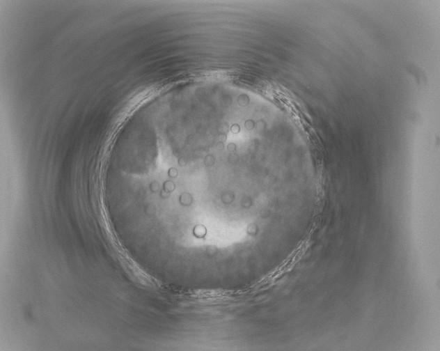 X0000115050145200912071137