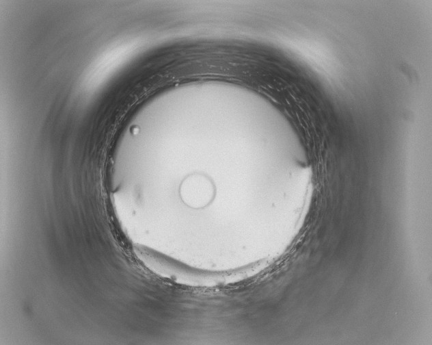 X0000115050146200912071137