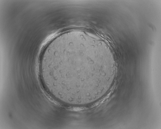 X0000115050149200912071137