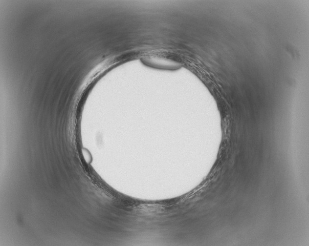 X0000115050150200912071137