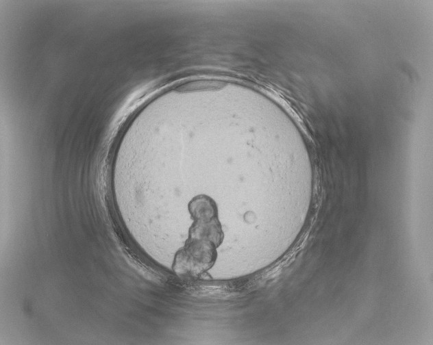 X0000115050151200912071137