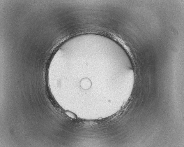 X0000115050154200912071137