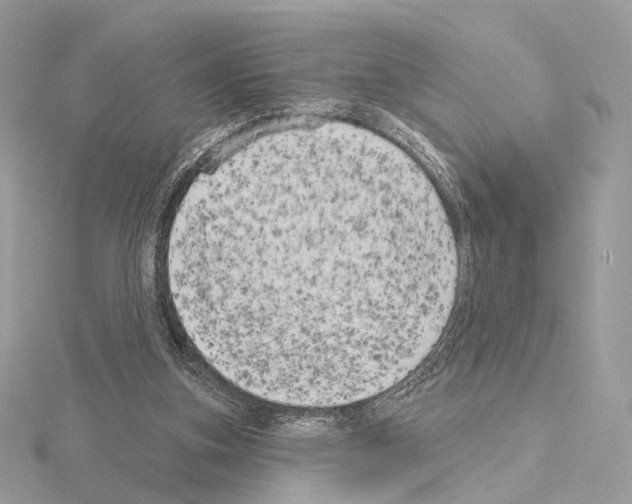 X0000115050155200912071137