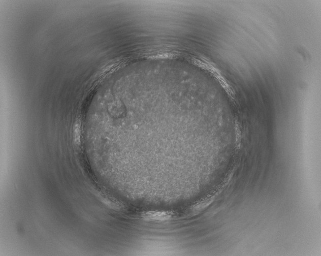 X0000115050161200912071138