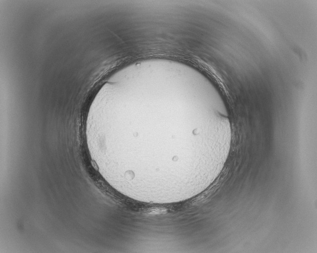 X0000115050162200912071138