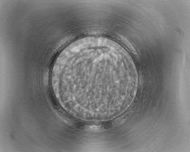 X0000115050163200912071138