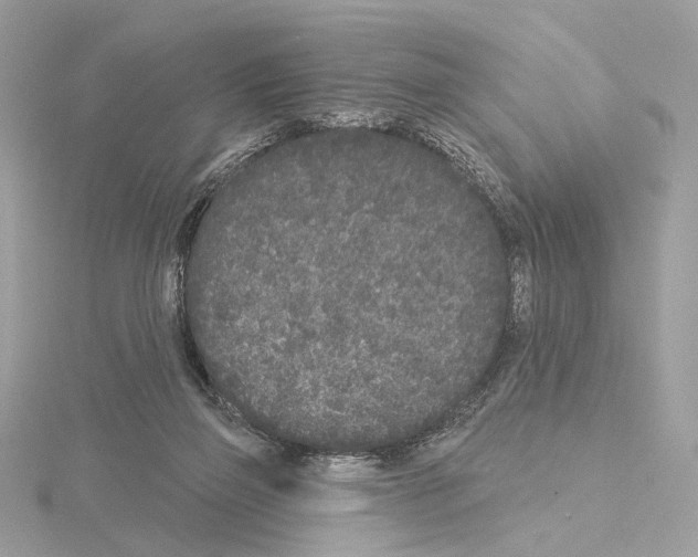 X0000115050165200912071138