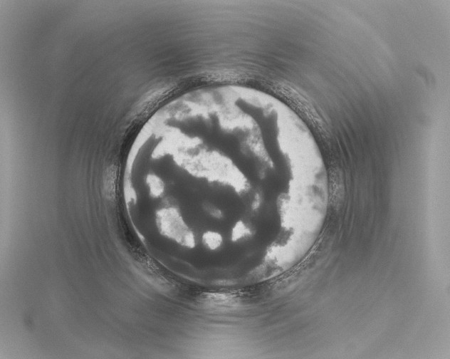 X0000115050167200912071138