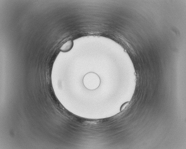 X0000115050170200912071138