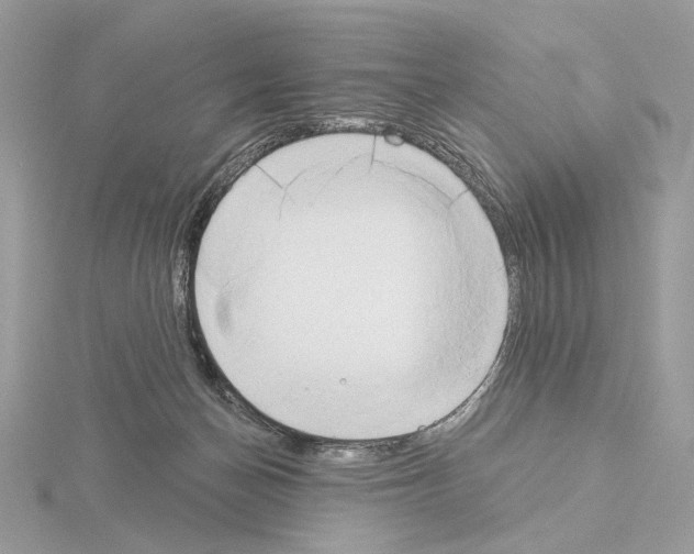 X0000115050174200912071138