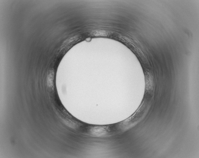 X0000115050175200912071138