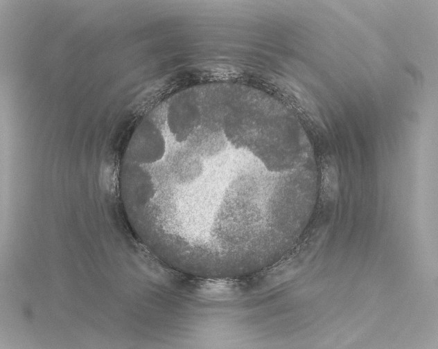 X0000115050177200912071138