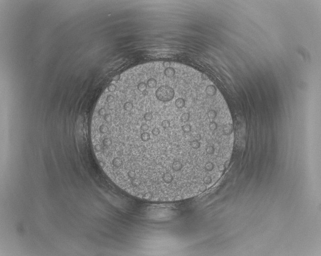 X0000115050179200912071138