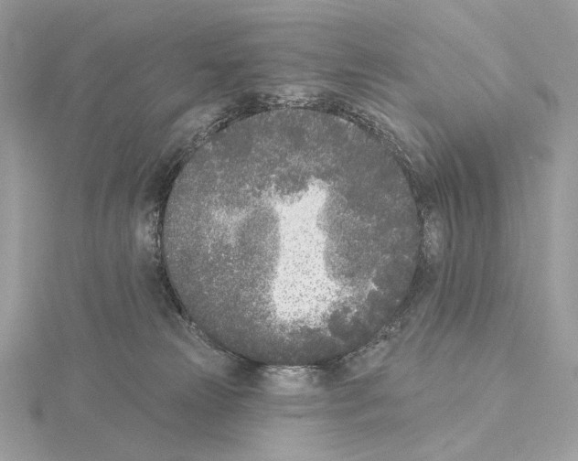 X0000115050181200912071138