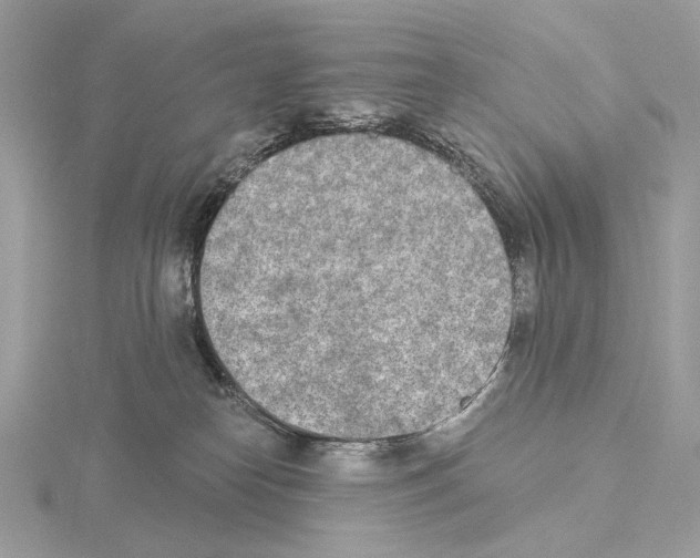 X0000115050182200912071138