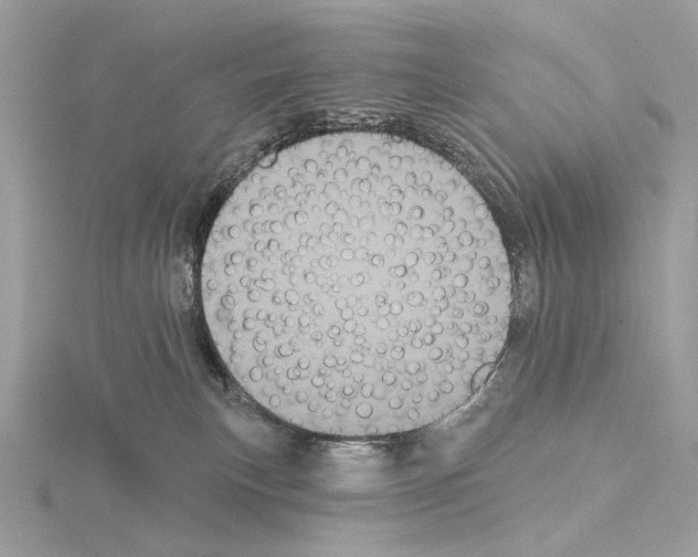 X0000115050183200912071138