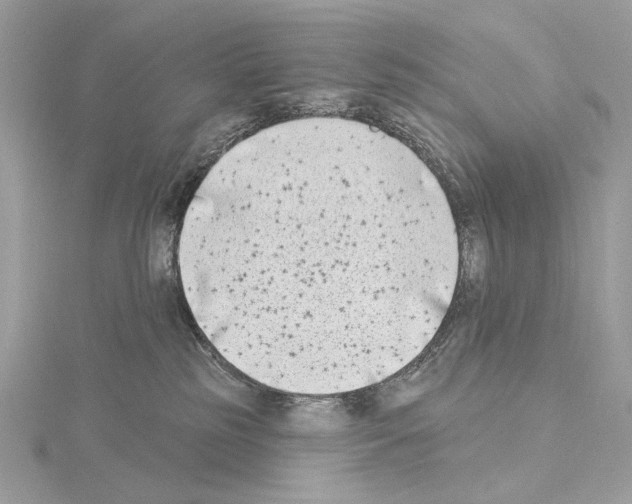 X0000115050185200912071138