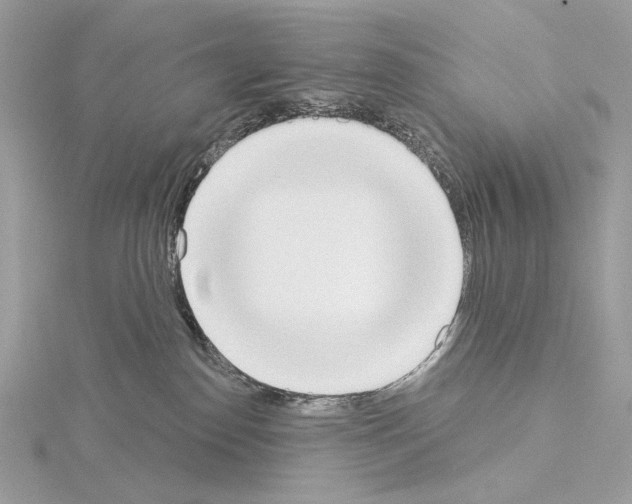 X0000115050186200912071138