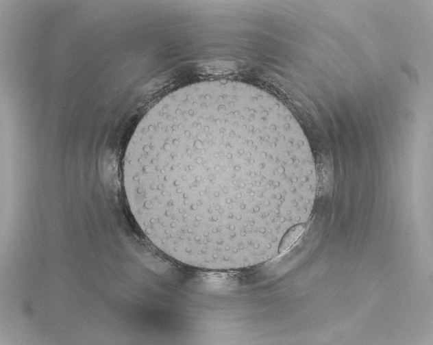 X0000115050187200912071138