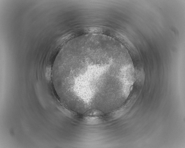 X0000115050189200912071138