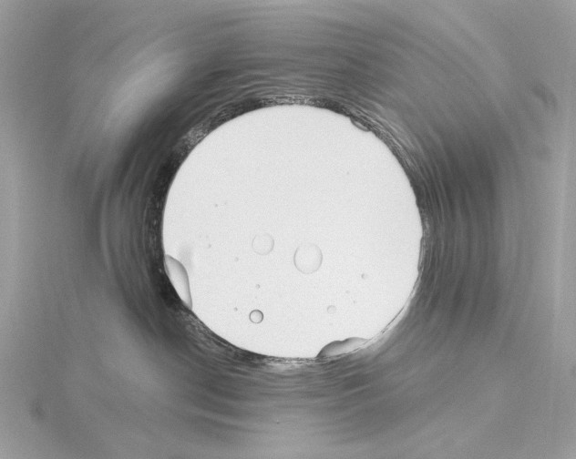 X0000115050190200912071138