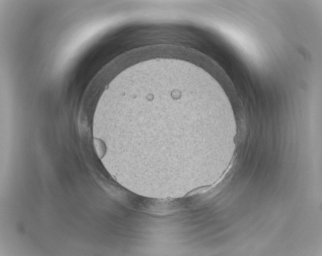 X0000115050191200912071138