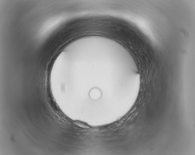 X0000115050194200912071137