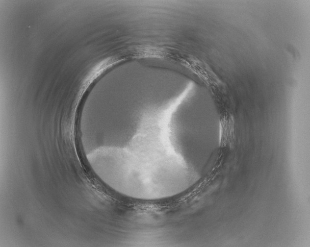 X0000115050195200912071137