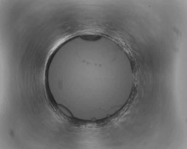 X0000115050196200912071137