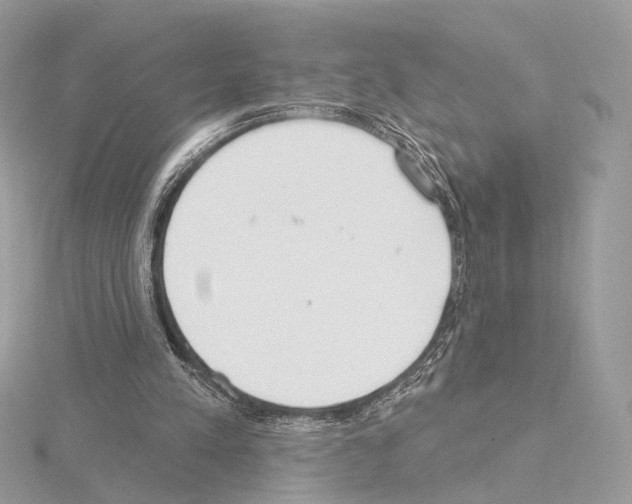 X0000115050197200912071137