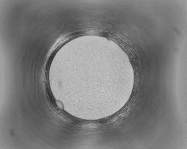 X0000115050198200912071137