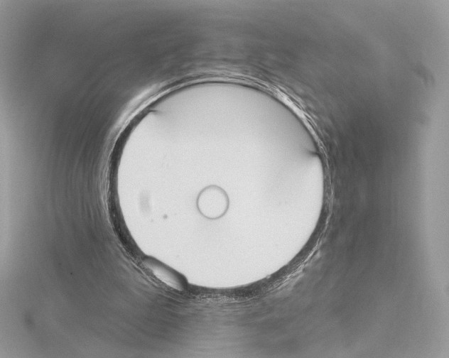 X0000115050199200912071137