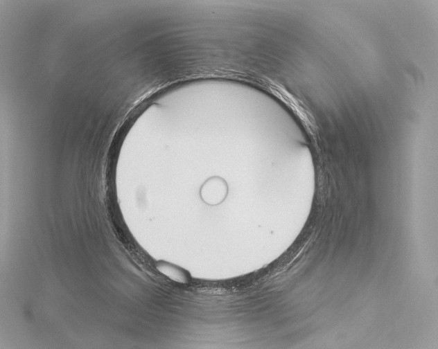 X0000115050203200912071137