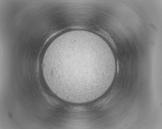 X0000115050204200912071137