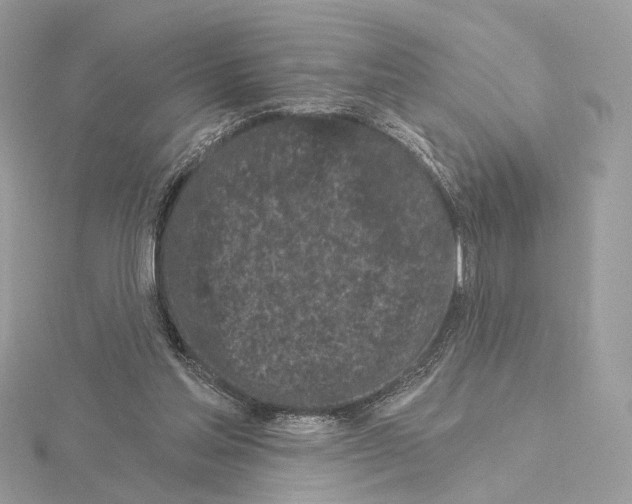 X0000115050205200912071137