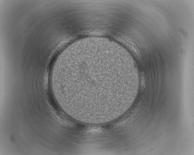 X0000115050206200912071137