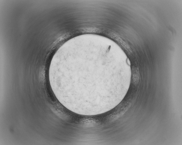 X0000115050207200912071137