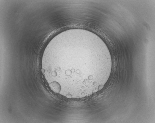 X0000115050208200912071137