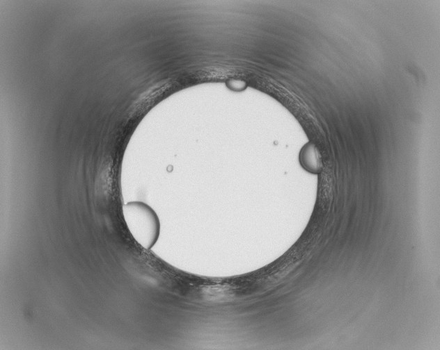 X0000115050216200912071137