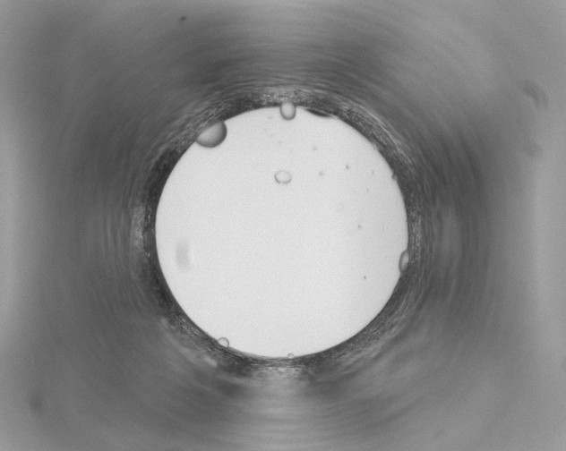 X0000115050217200912071137