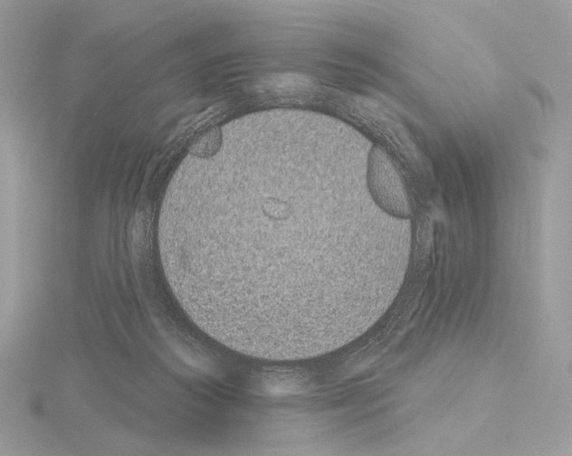 X0000115050218200912071137