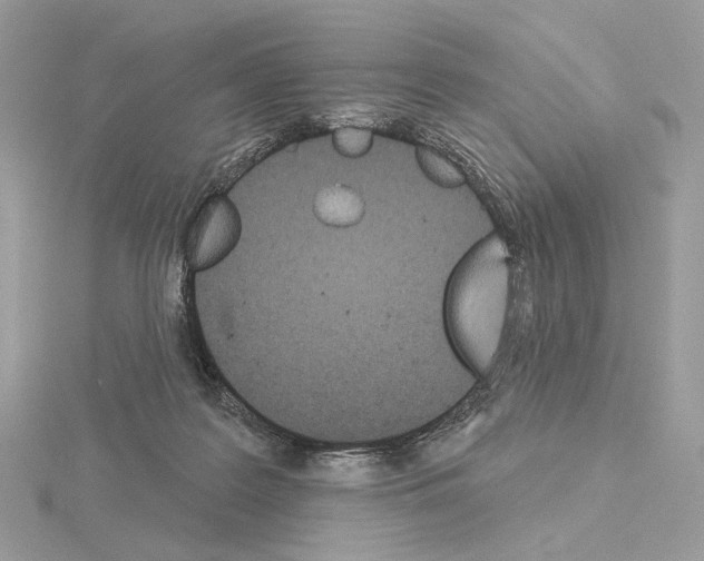 X0000115050219200912071137