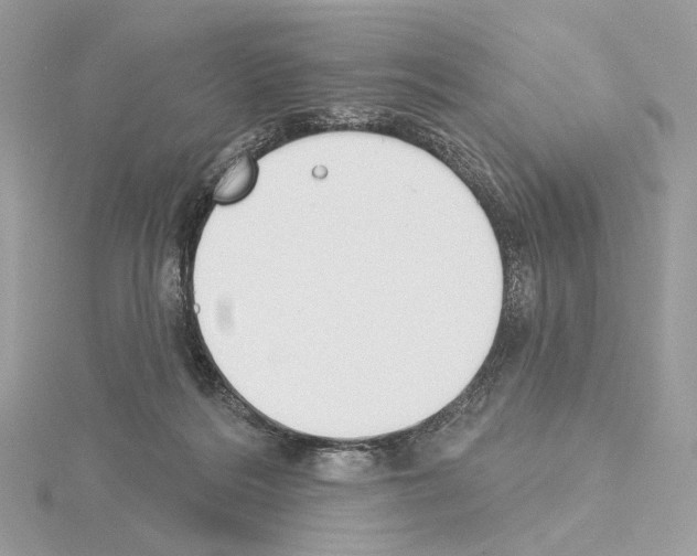 X0000115050220200912071137