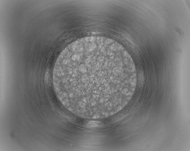 X0000115050222200912071137