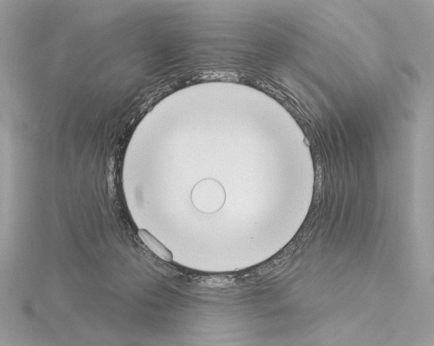 X0000115050223200912071137