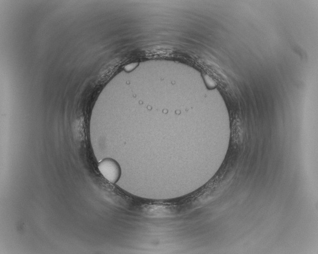 X0000115050224200912071137